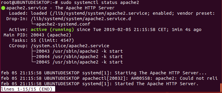 instalar servidor web en ubuntu 18 _01