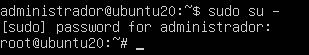 sudo su - ubuntu server 20.04
